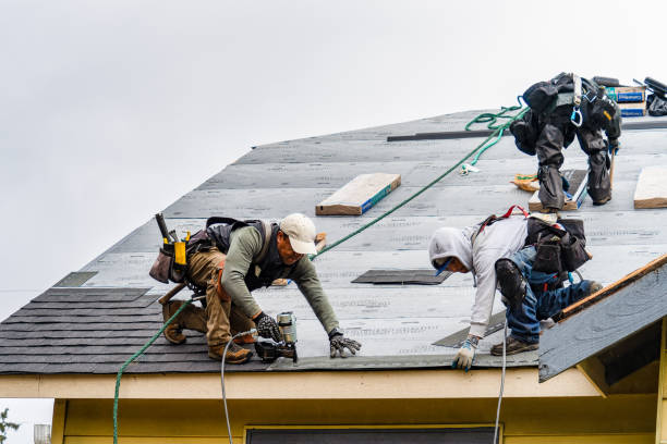 Professional Roofing technician working in Randalia, IA
